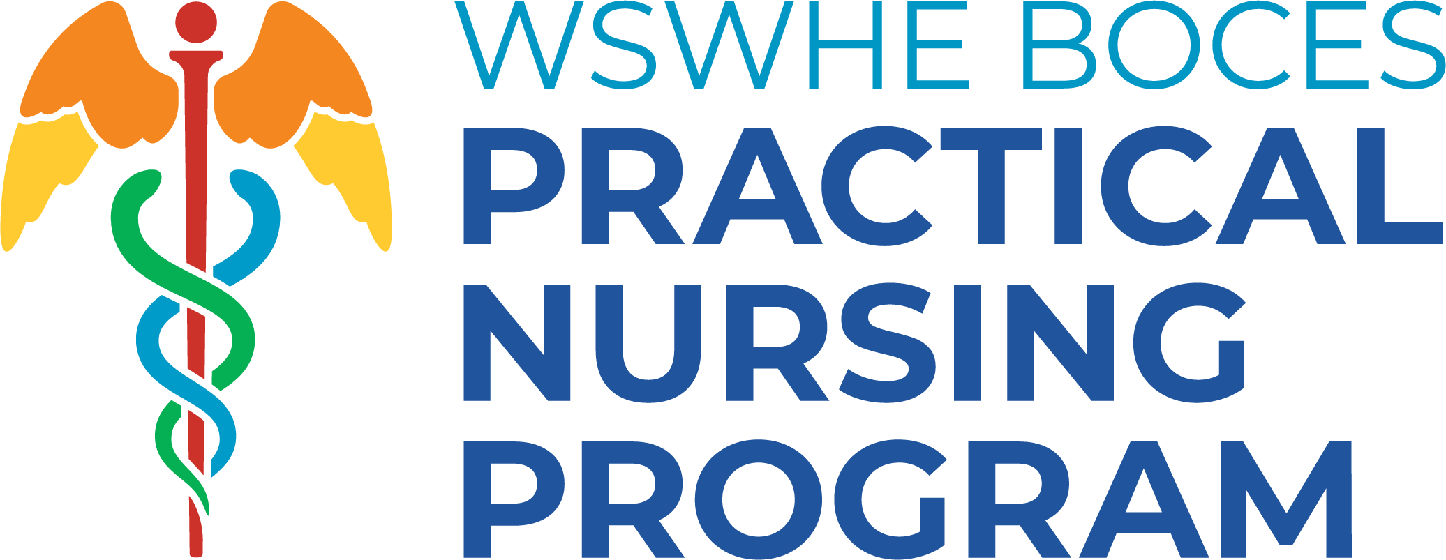 practical nursing logo